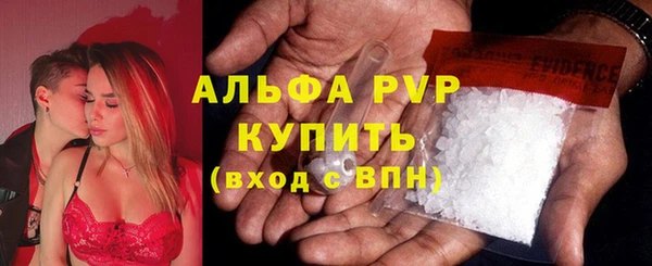 дживик Краснослободск
