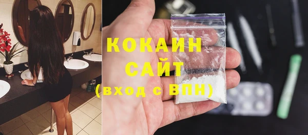 дживик Краснослободск