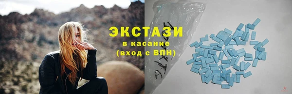 дживик Краснослободск