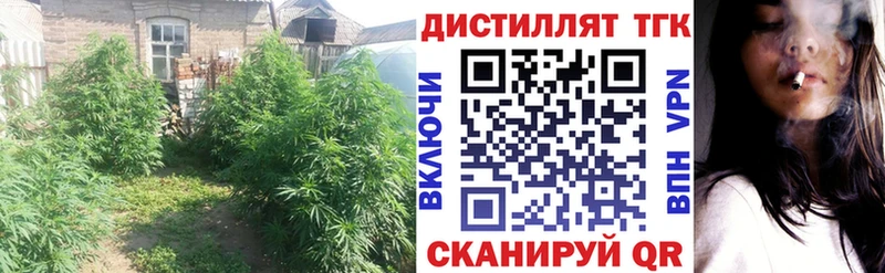 blacksprut ссылки  Нижнеудинск  ТГК THC oil 