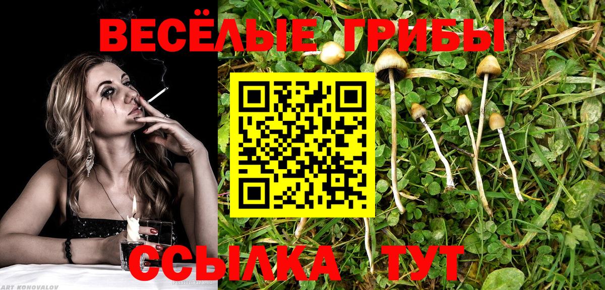 Псилоцибиновые грибы Magic Shrooms Нижнеудинск