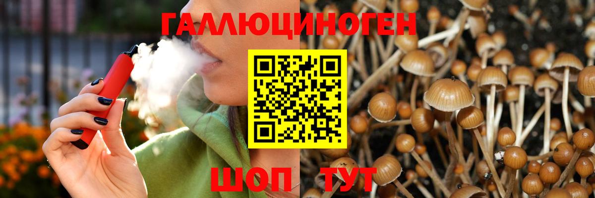 Нижнеудинск  Галлюциногенные грибы GOLDEN TEACHER  Вход с VPN 
